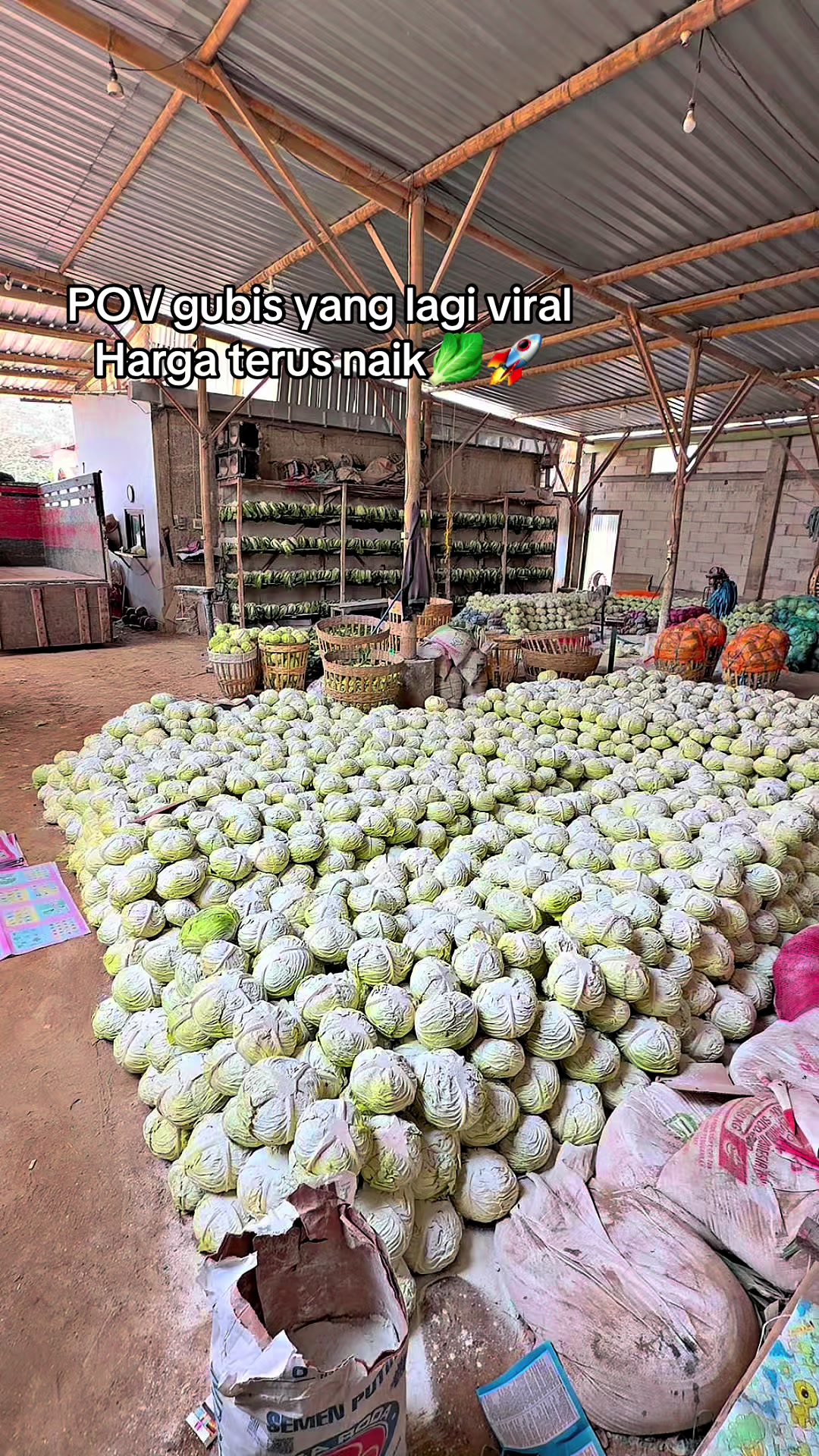 @MEGA TRANS SAYUR MALANG
