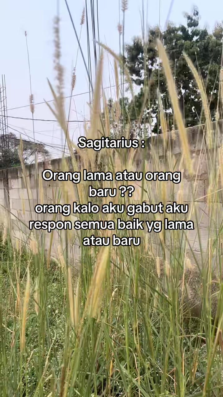 @Your Zodiak Mate