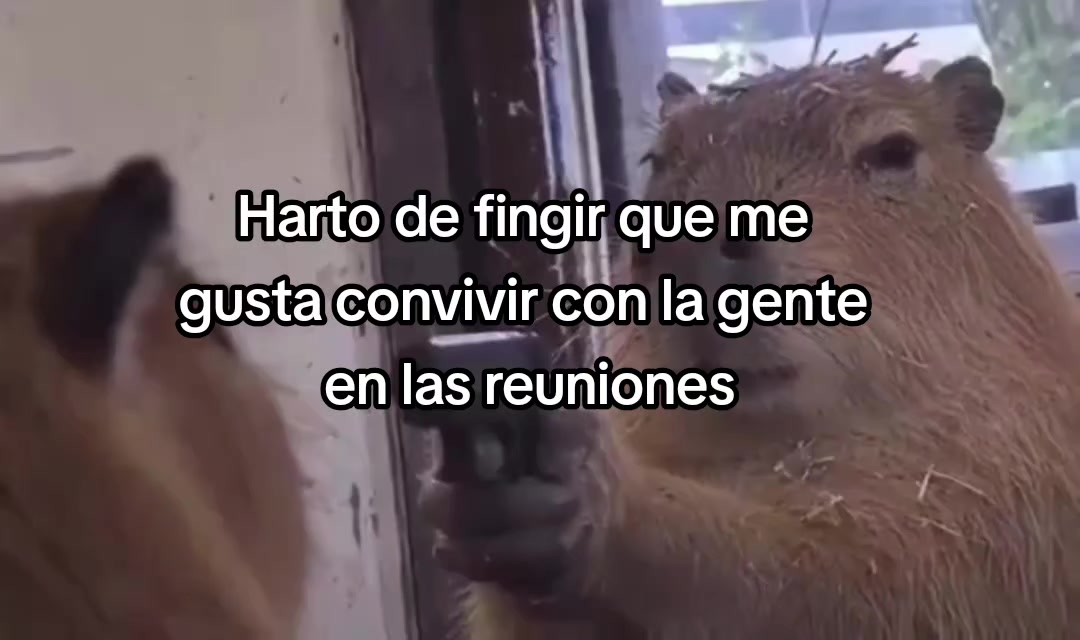 @Maryurisbanquezz18