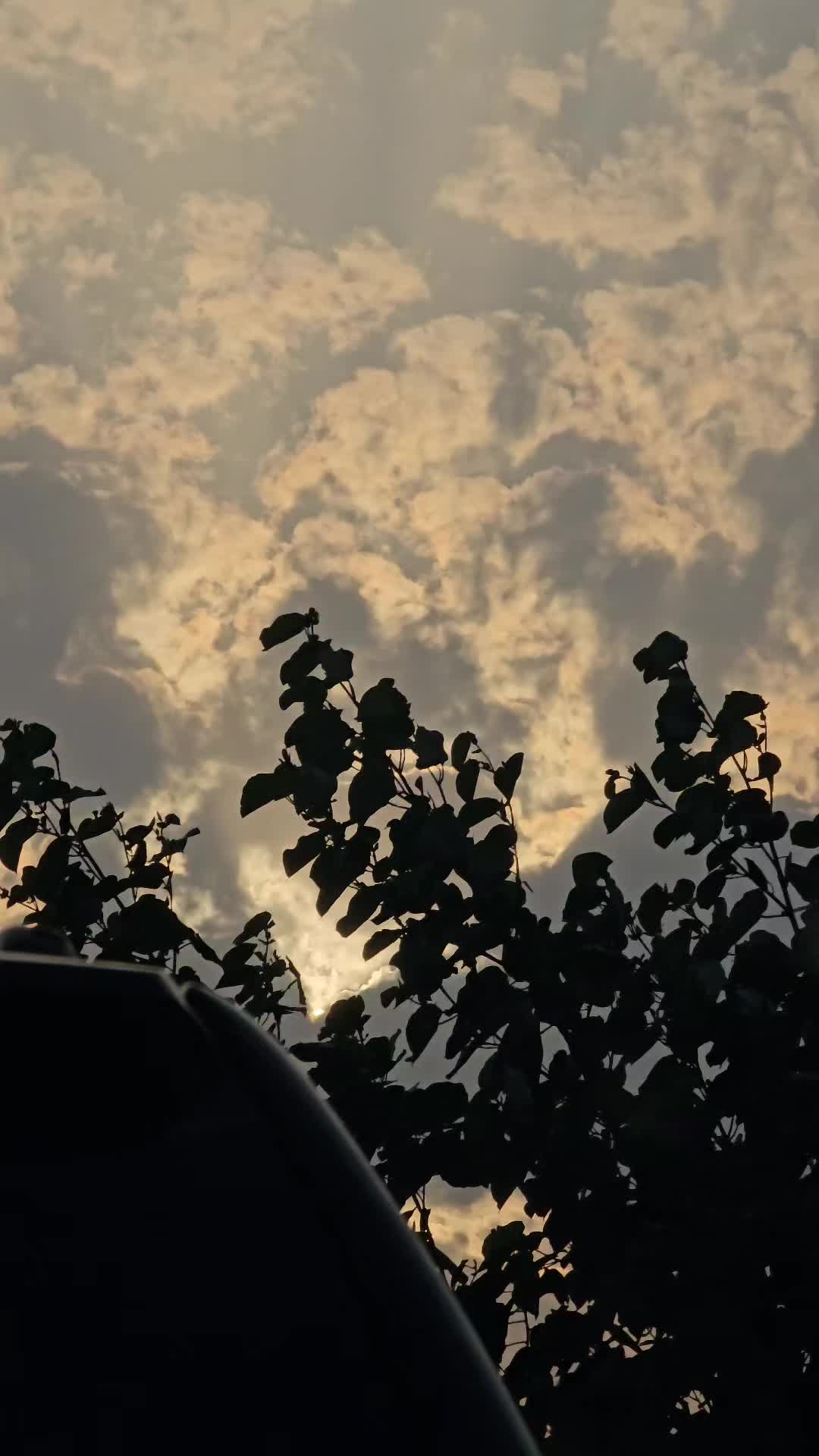 @ritsbk