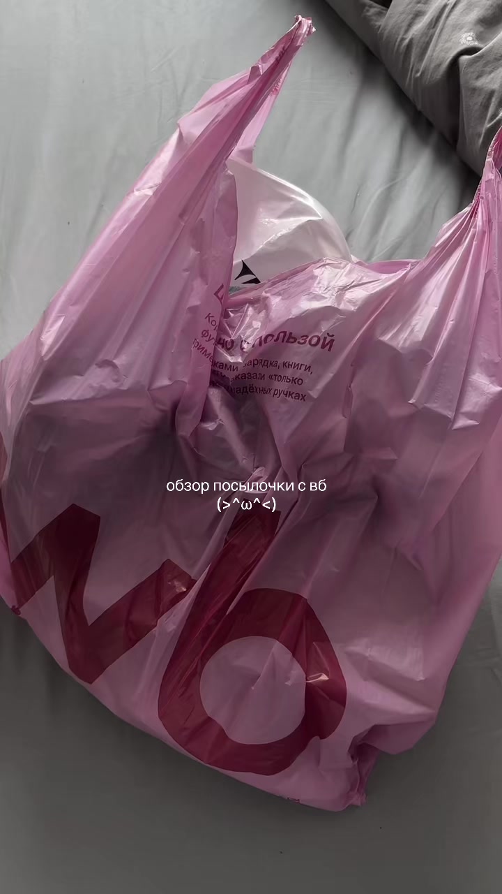 @(_ _).｡o○