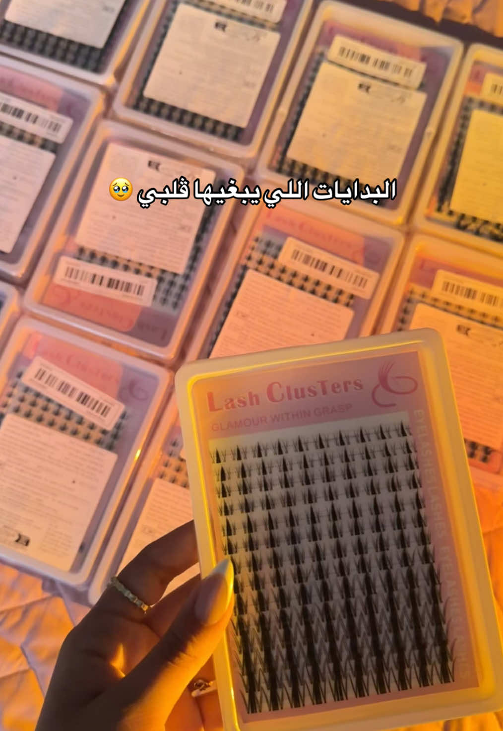 @𝐸𝓋𝒶 𝓁𝒶𝓈𝒽𝑒𝓈 🎀
