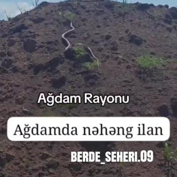 @Berde_seheri.09