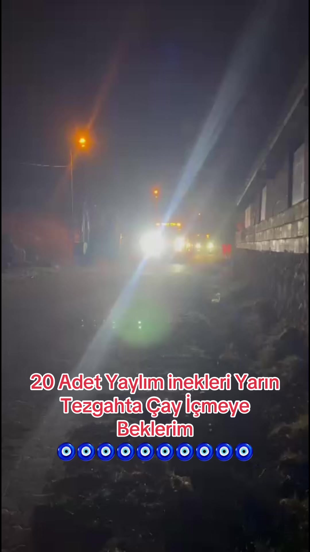 @Cemil Tekkanat