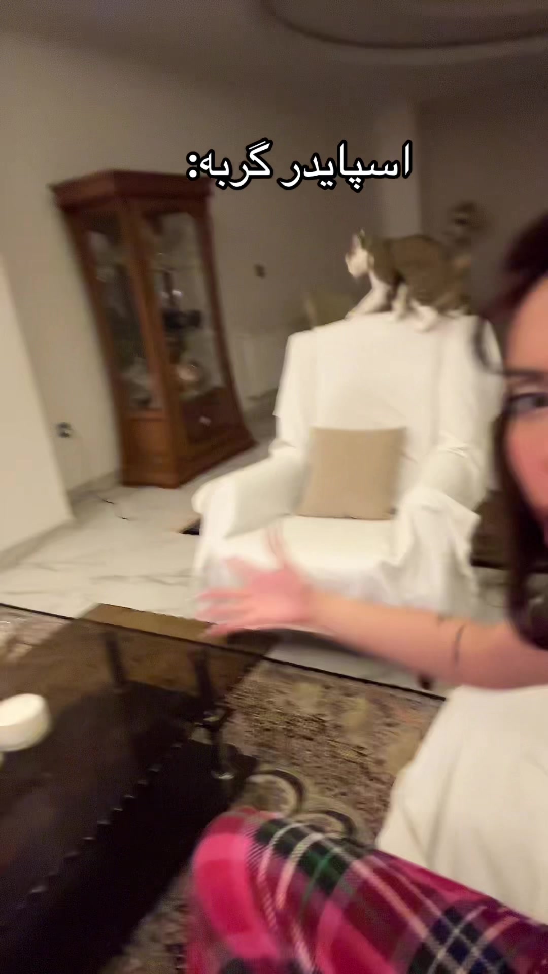 @heleya
