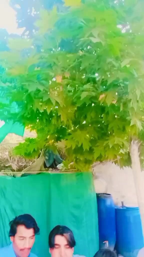@قیدی نمبر 804✌️💪