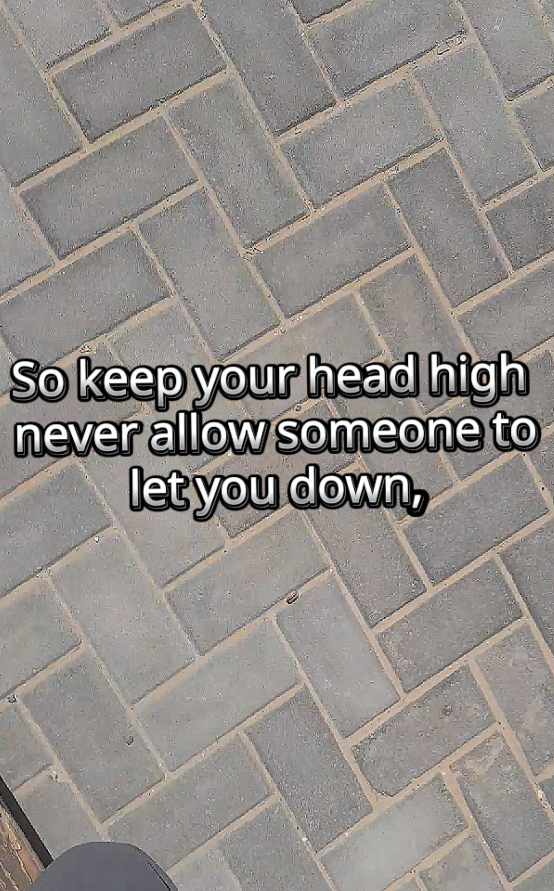 @Jaguarpowllexicopowl
