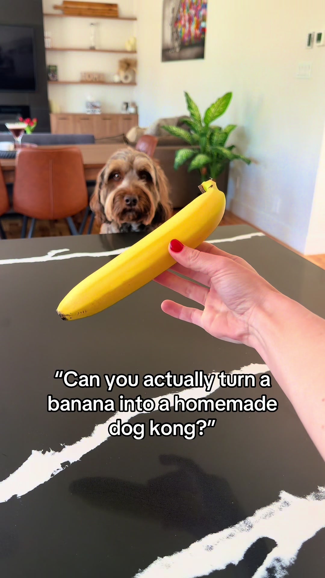 @Dogs Made Simple