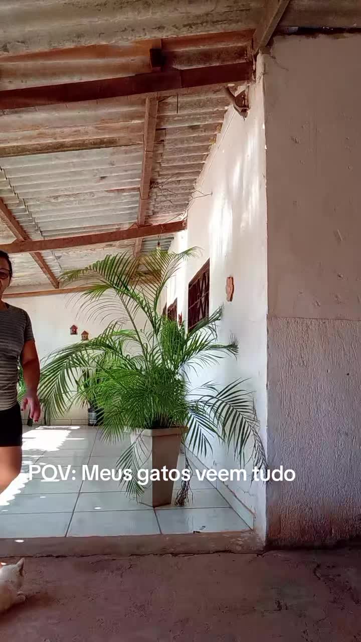 @Edilza Almeida546