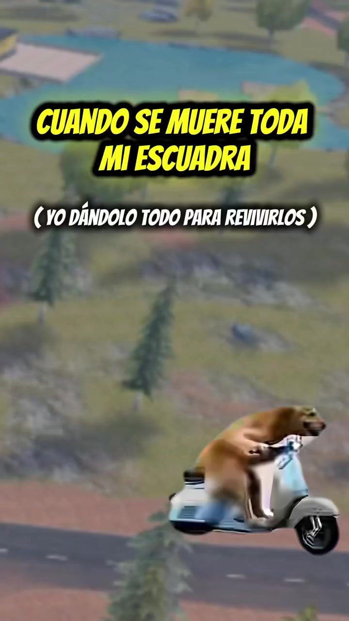 @☆Panaff