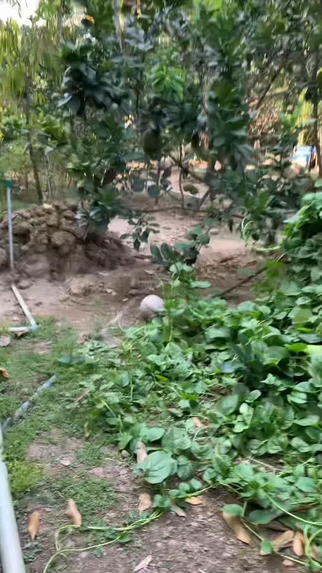 @PHỤ T&Ugrave;NG N.C.I CẦN THƠ