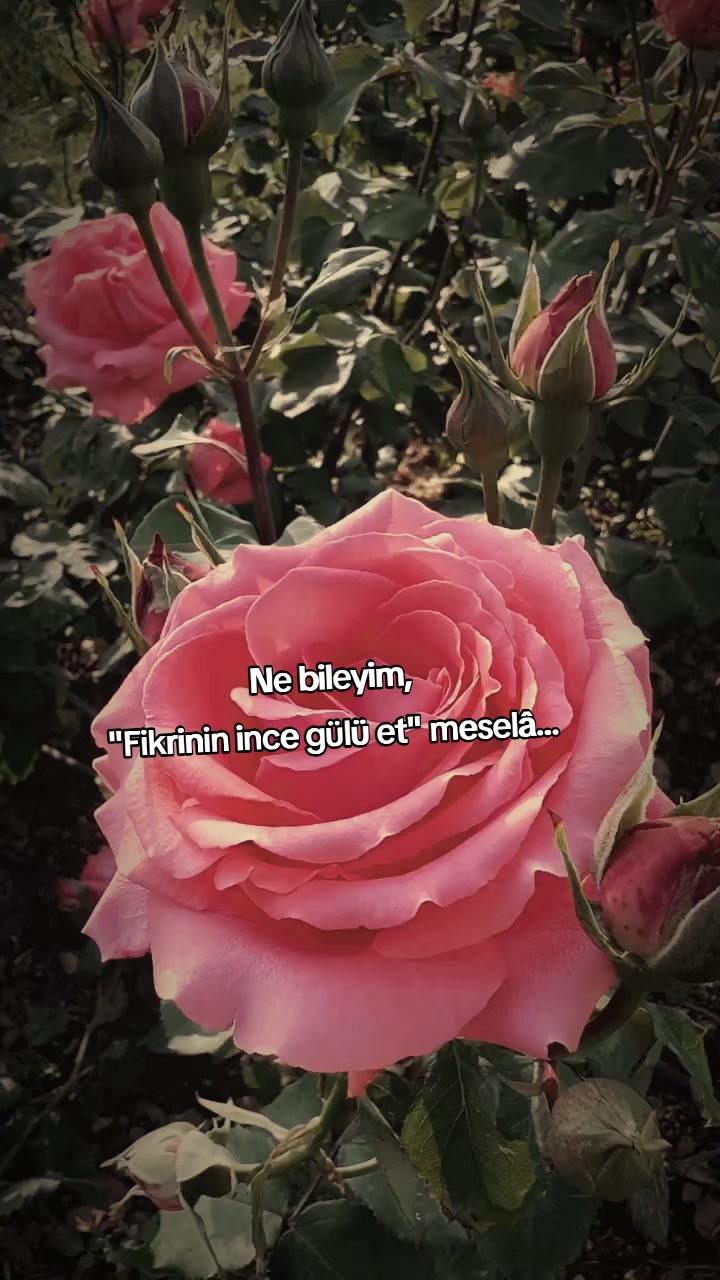 @kyplrdym