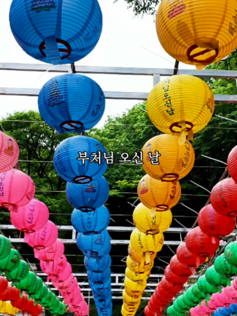 @제주도