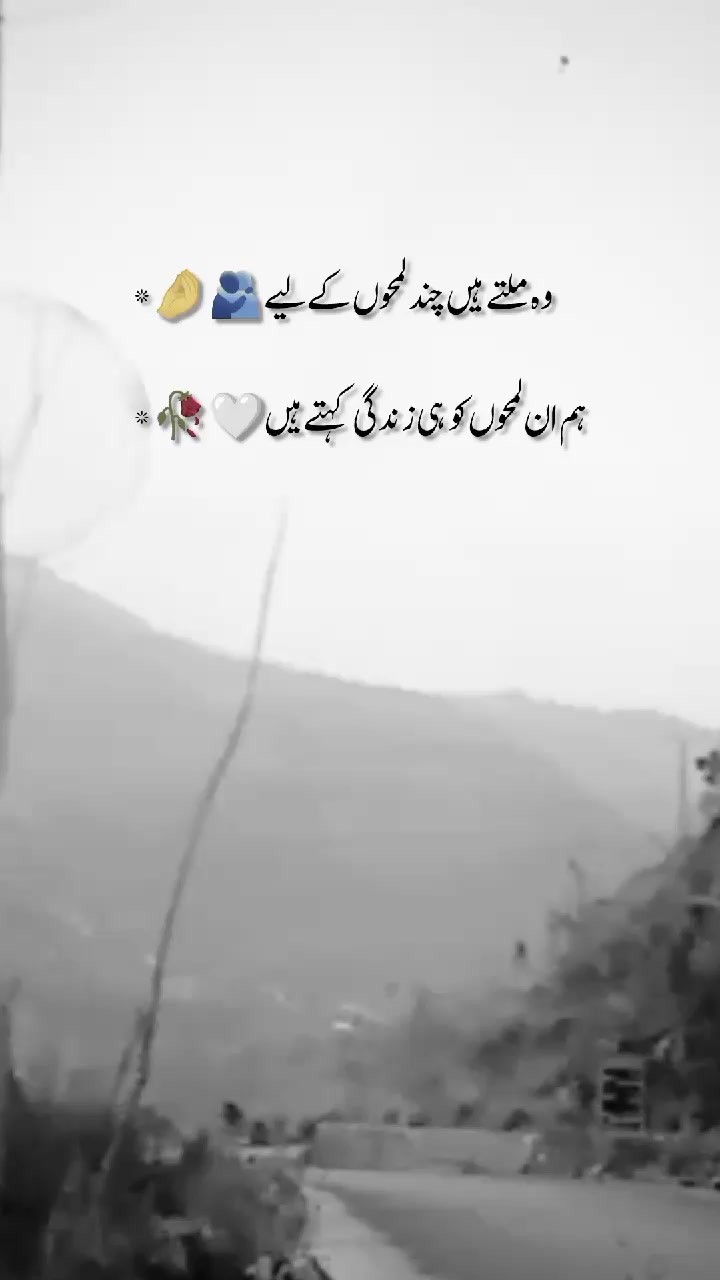 @🦅کشمیری رائٹس 🍁(◕‿-)