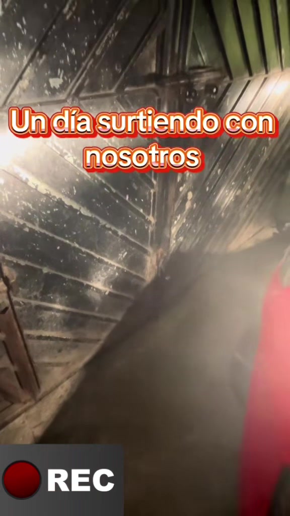 @PescadosyMaricosLosJarochos