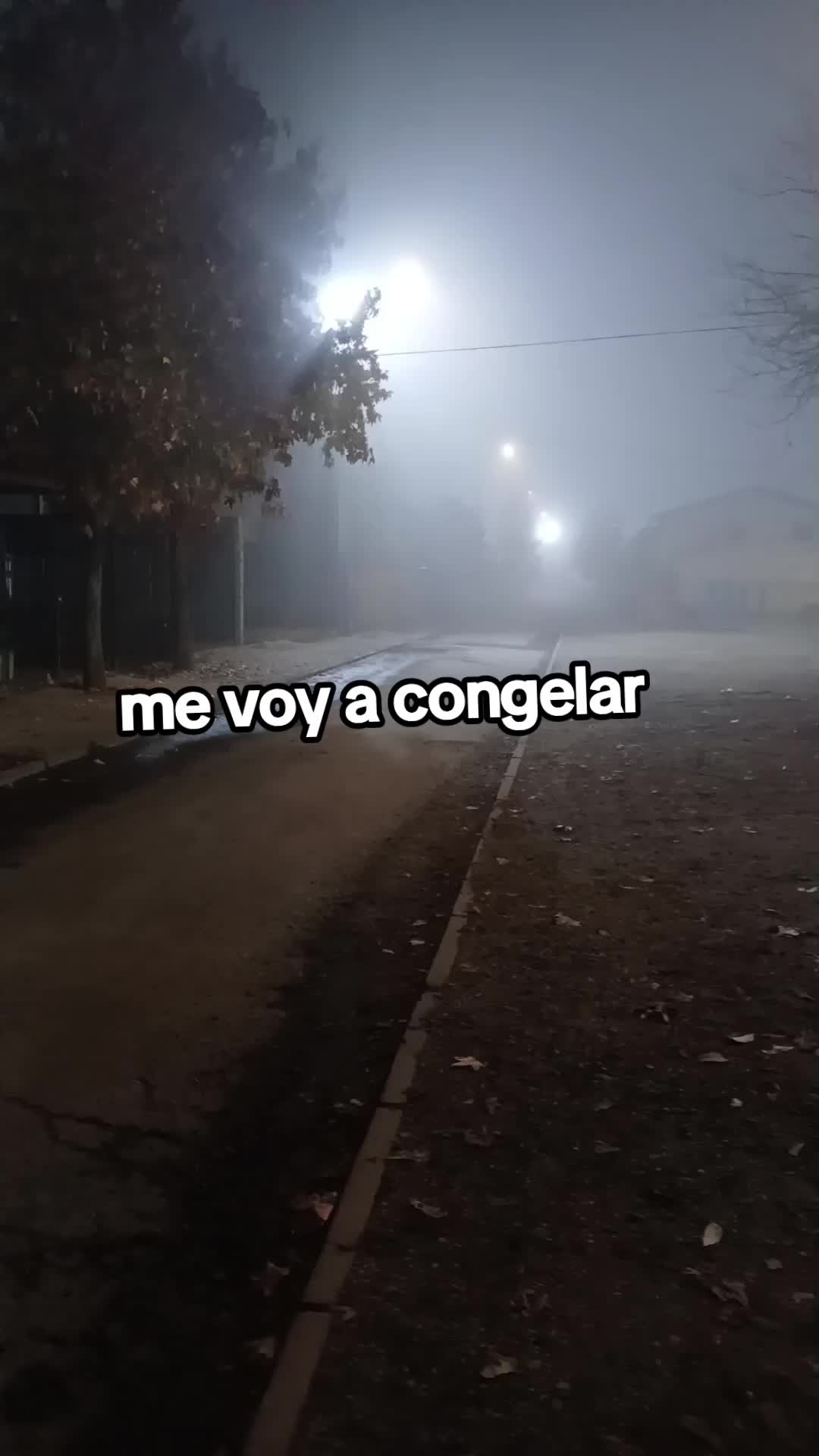 @Bea🇻🇪❤️&zwj;🩹🇨🇱