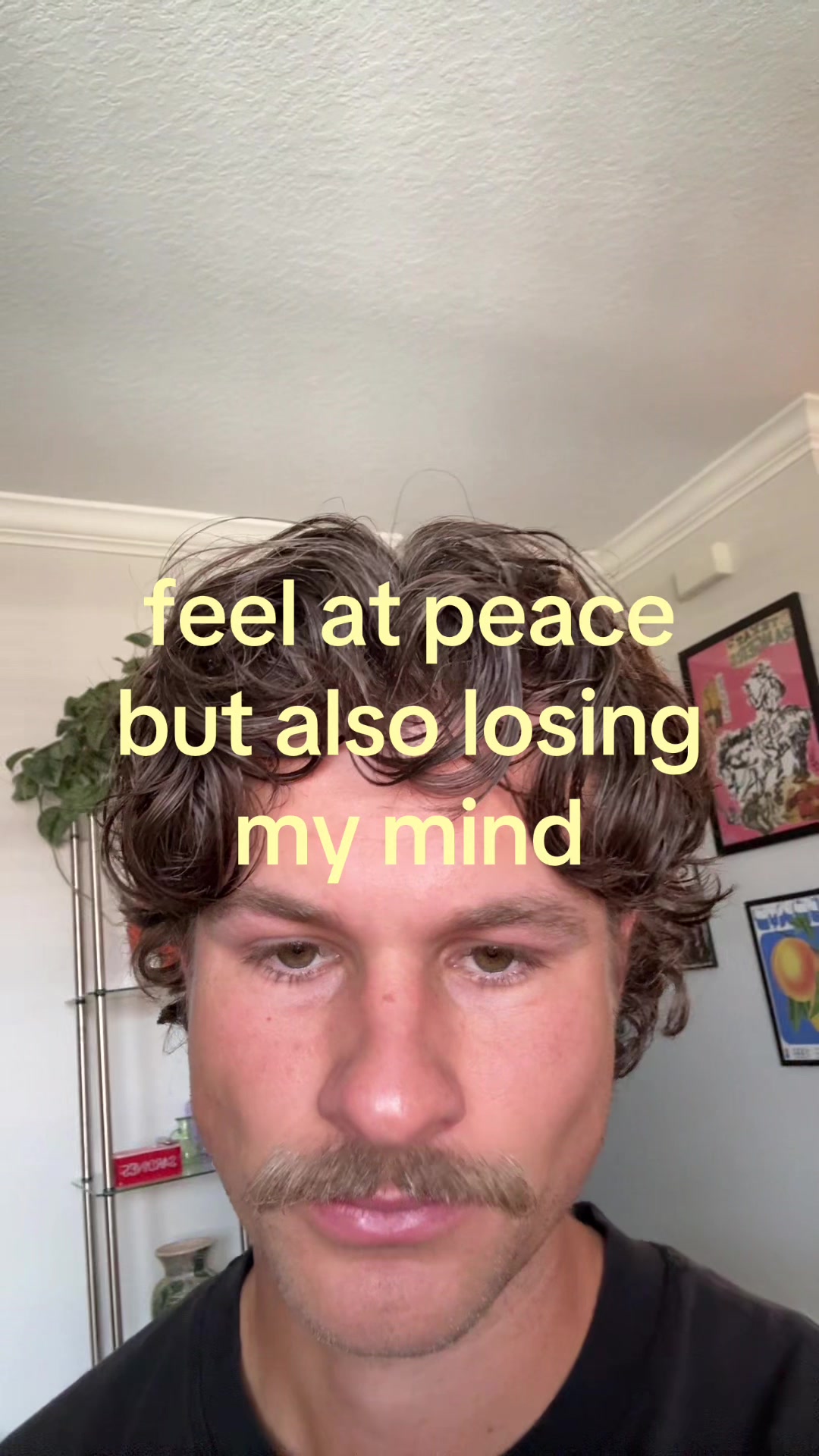 @shane