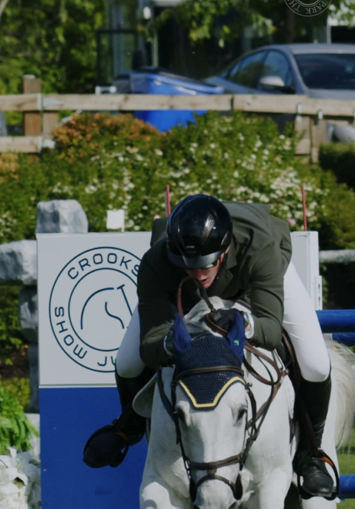 @HorseNetwork