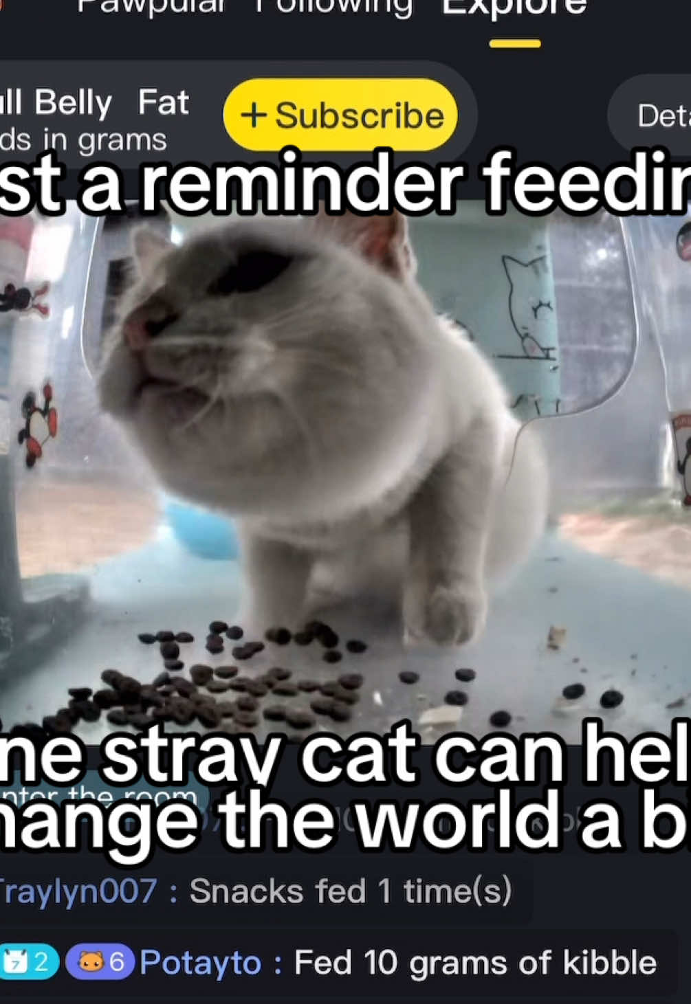 @Purrrr