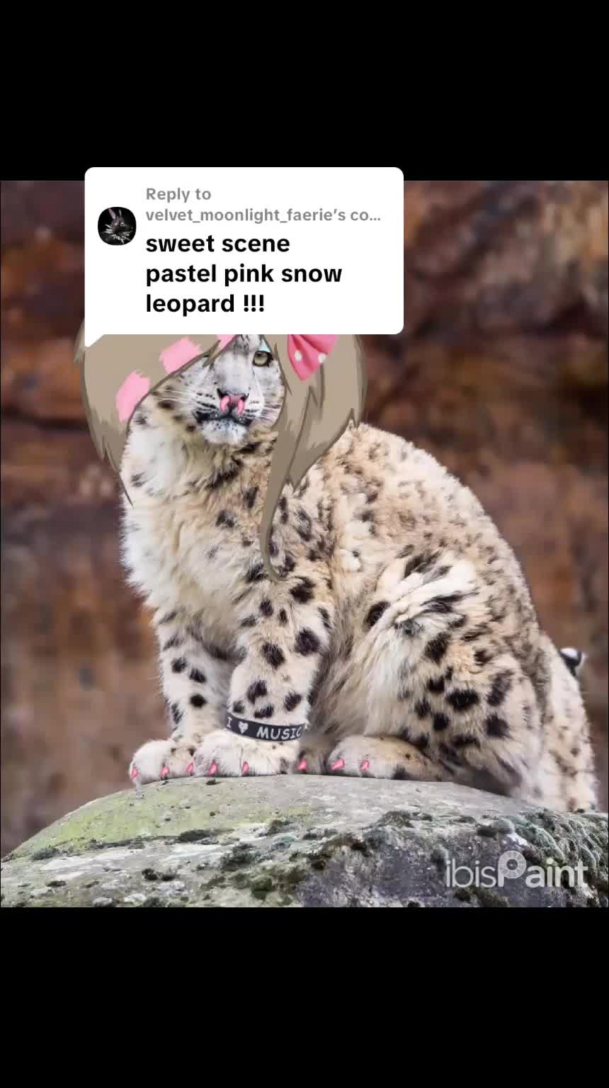 @Sealie 🦭🍮