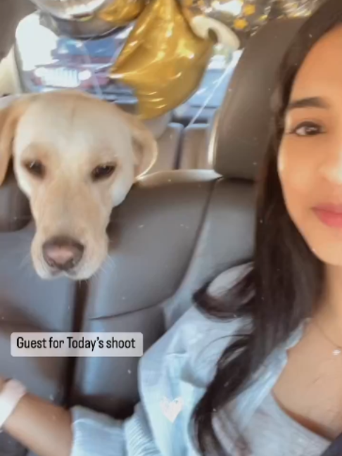 @Anamika k