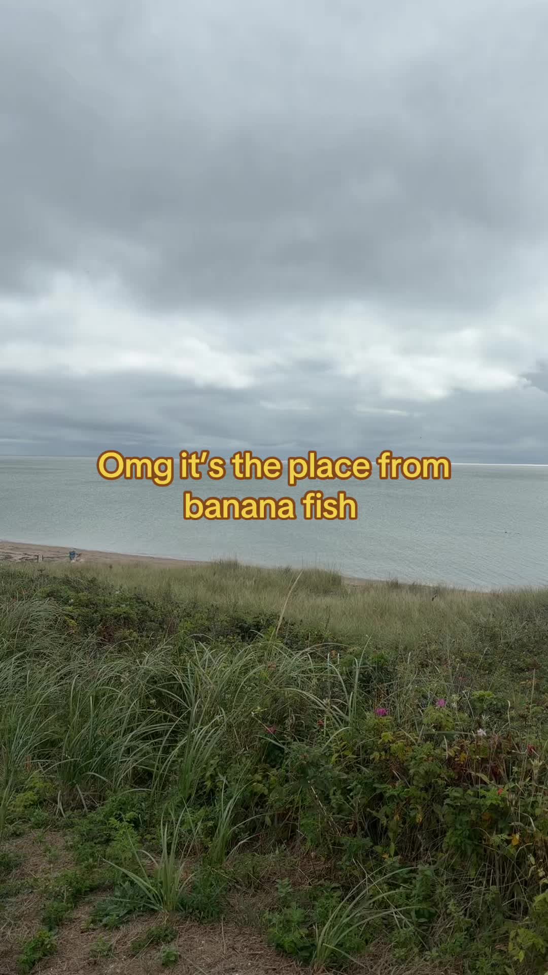 @🦇Max🇵🇸