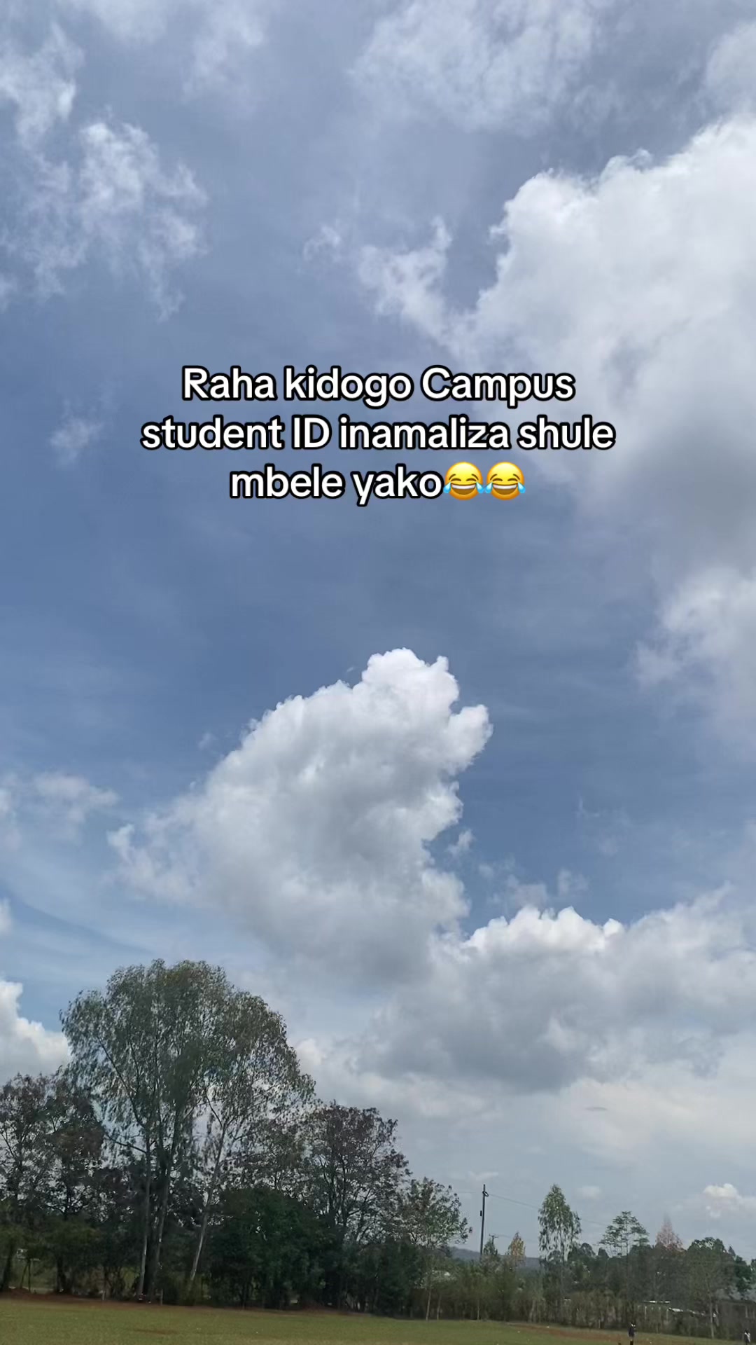 @enooooooooh???