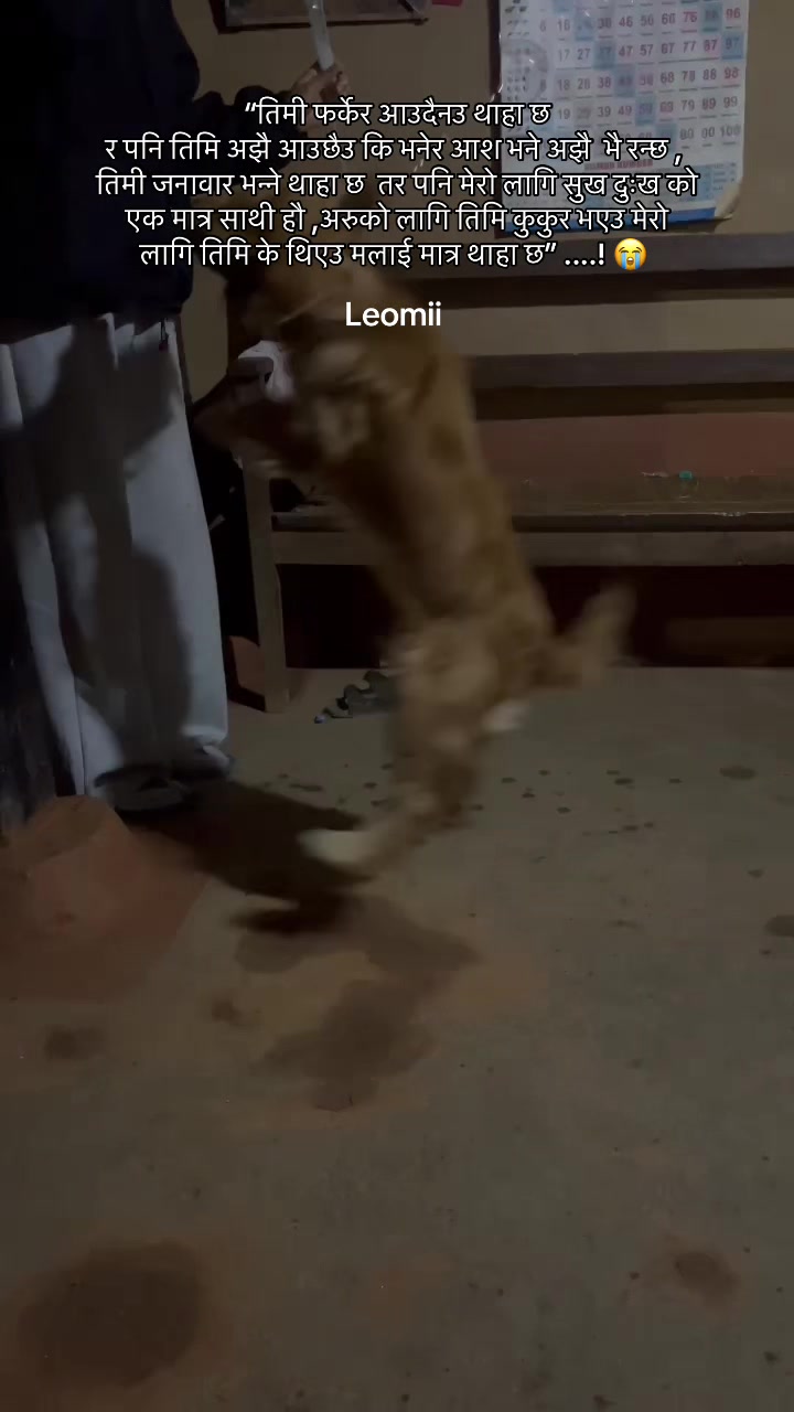 @एन्जली राई