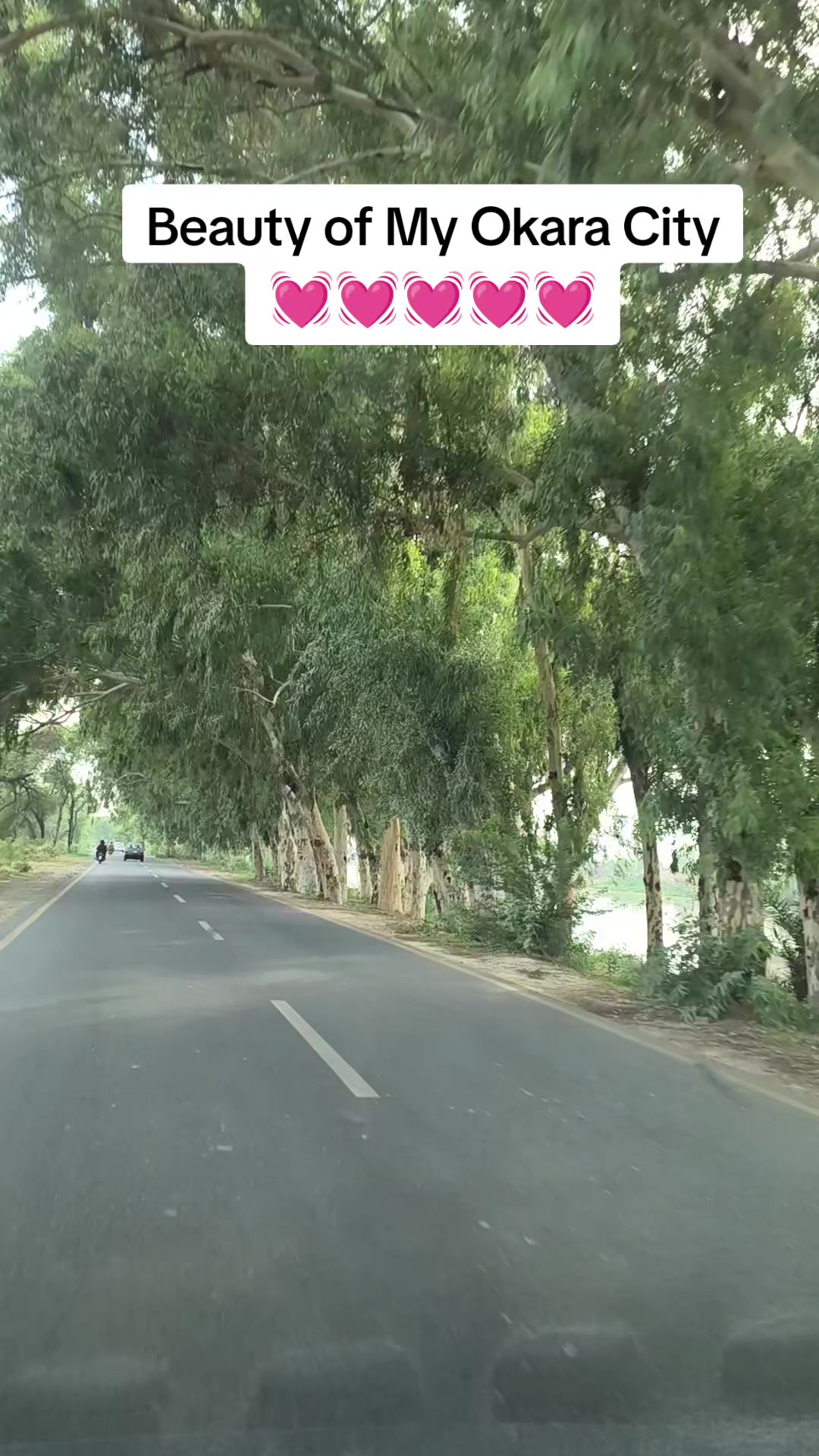 @نعeeم اسLم