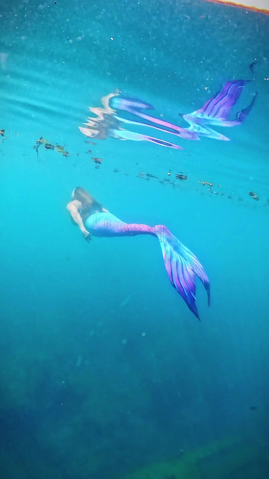 @Gulf Coast Mermaid 🧜♀️