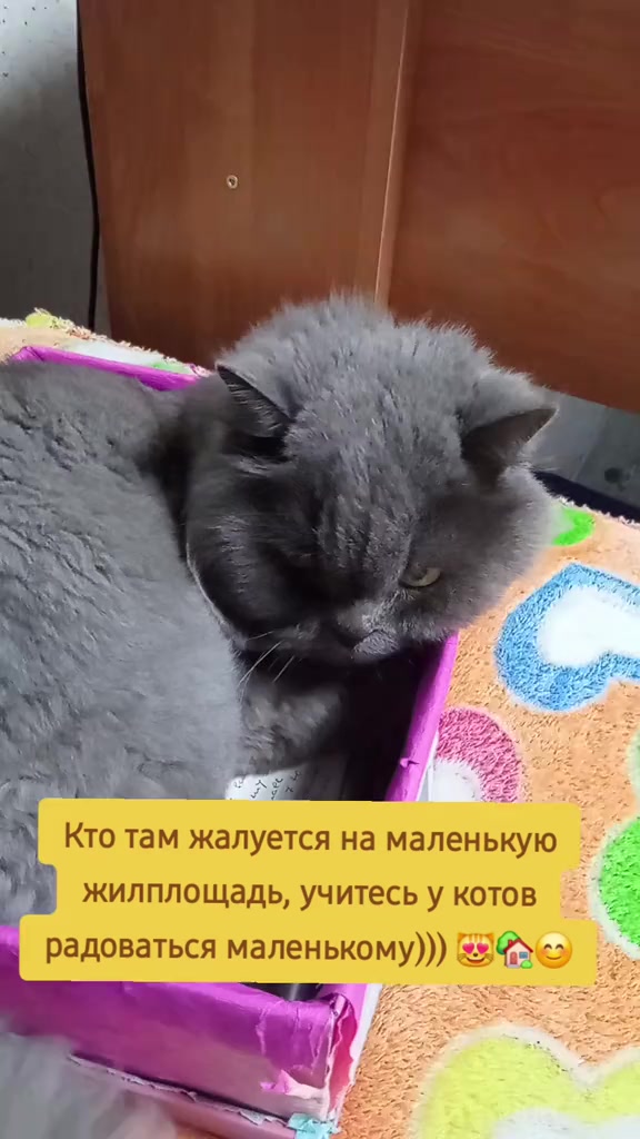 @Олеся