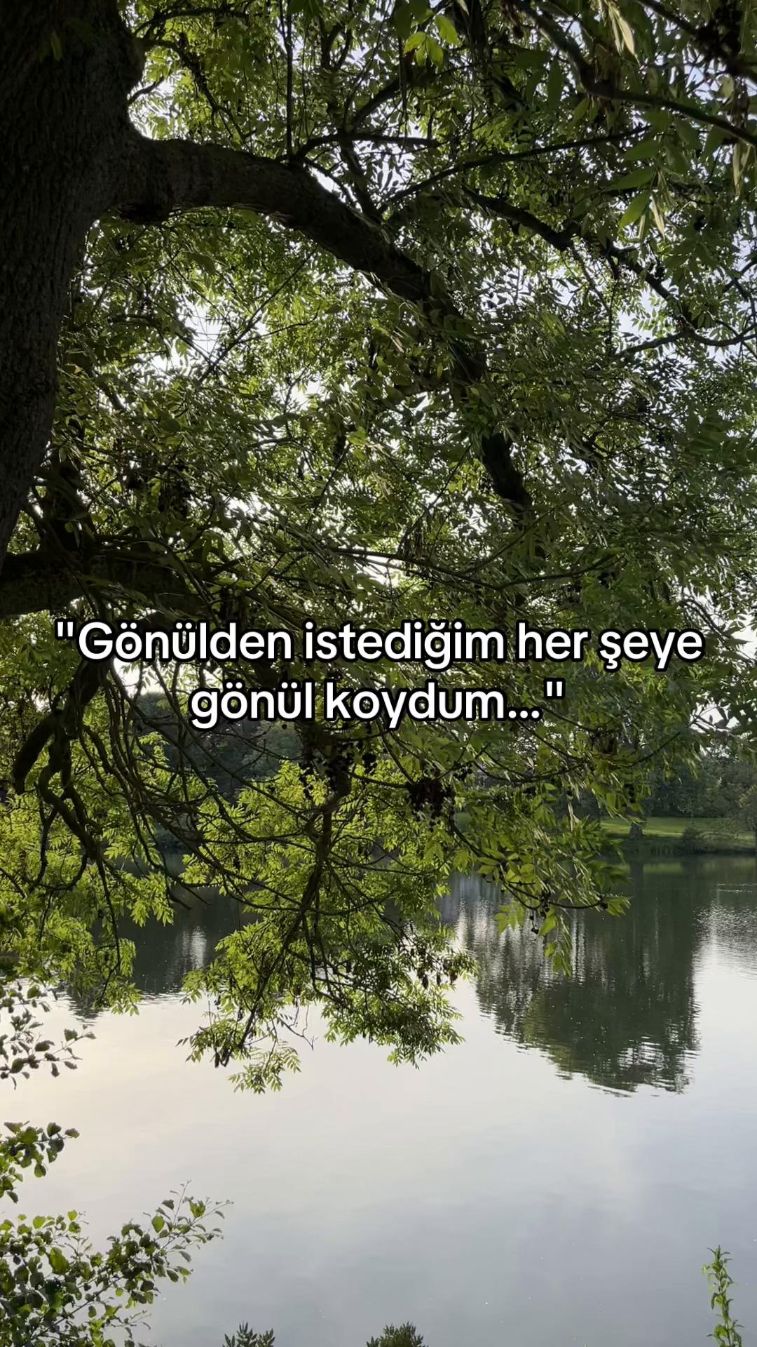 @73_storyy