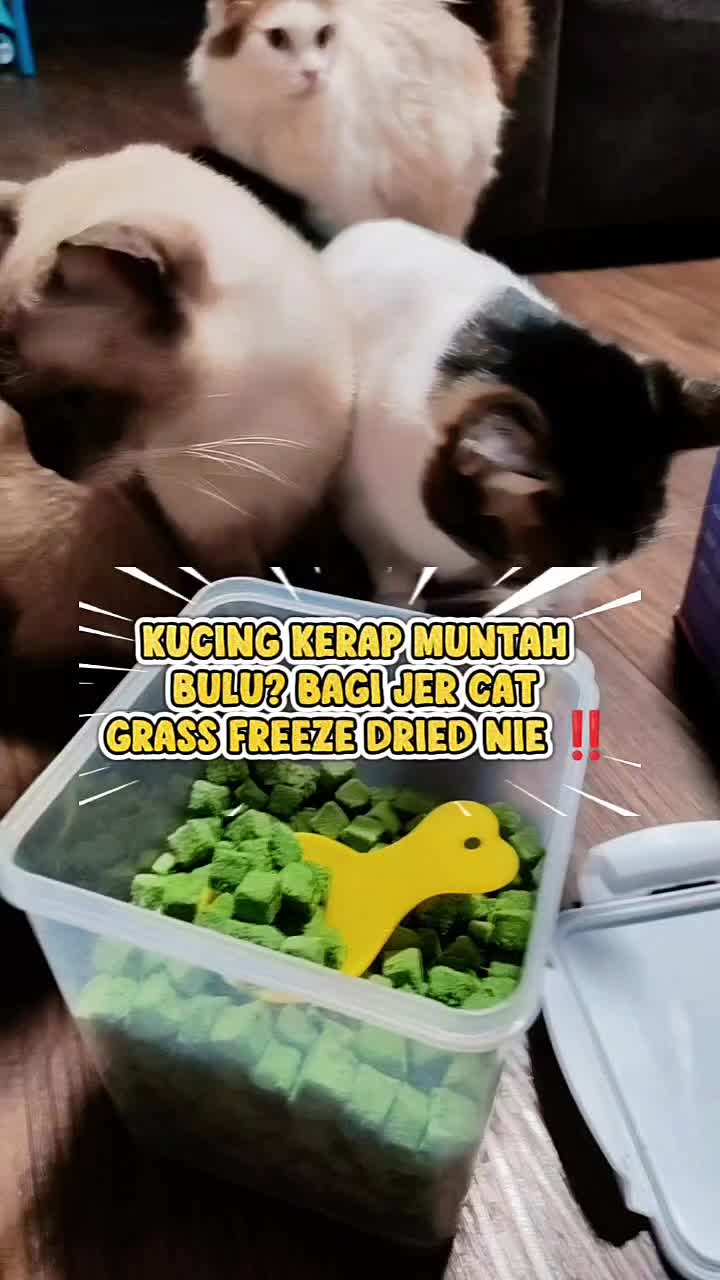 @Norazrena | Racun Tiktok