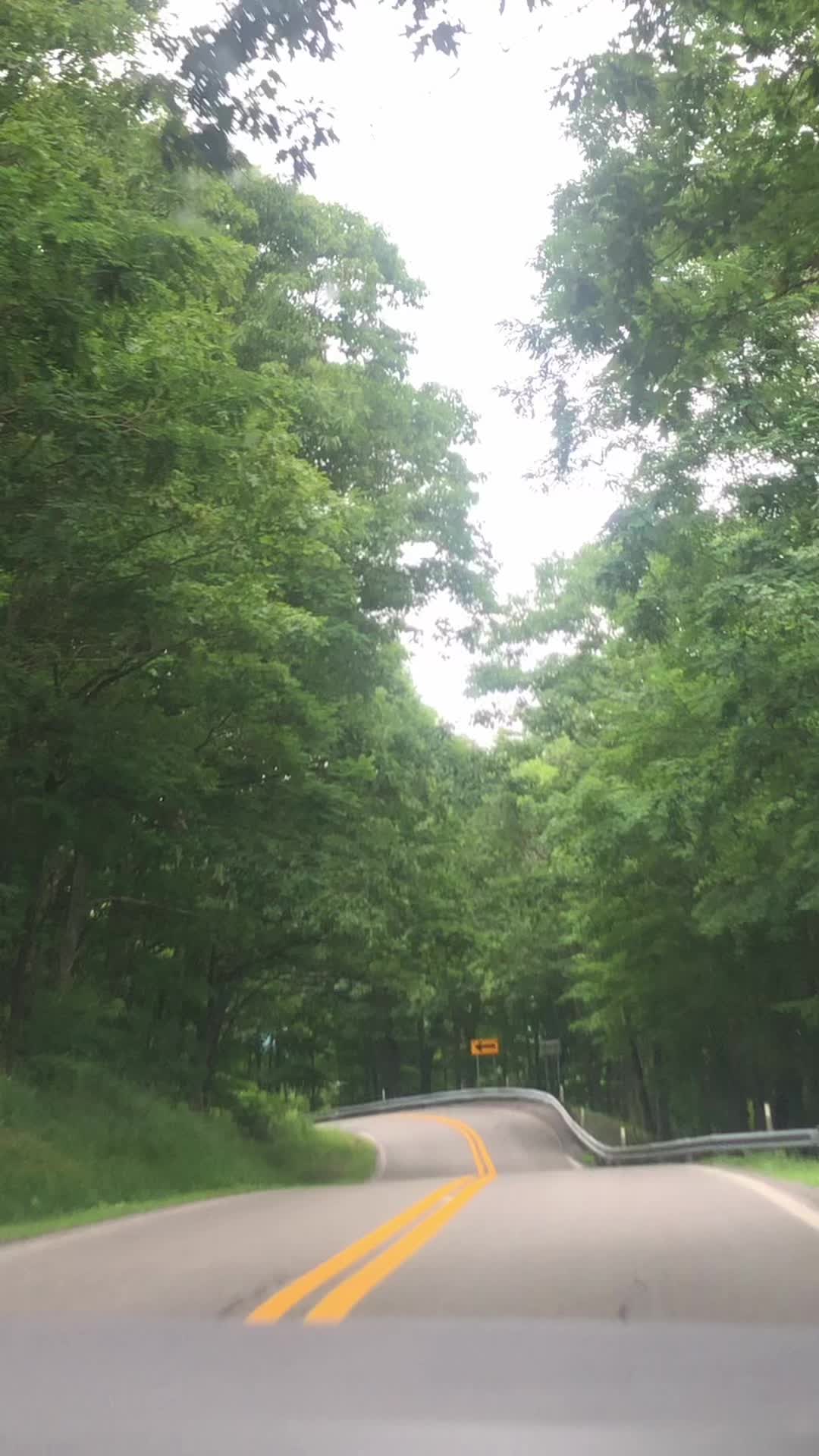 @robinfrazier40