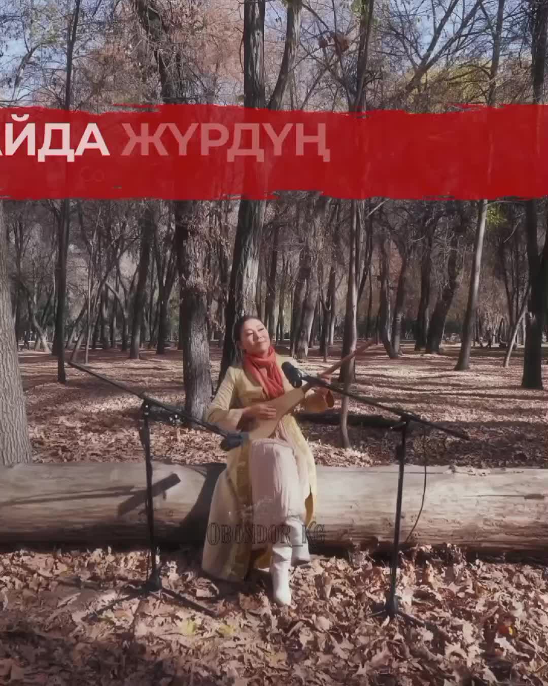 @Абдыкадыр Байстанов.Т°