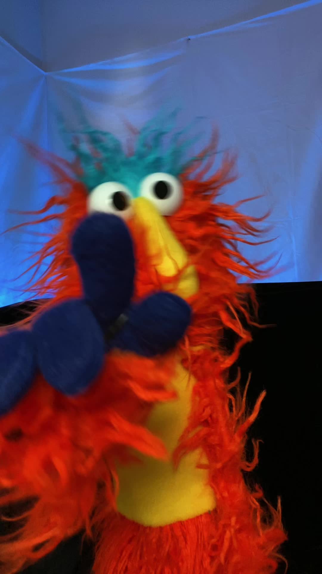 @Goodman&rsquo;s Wacky Puppets