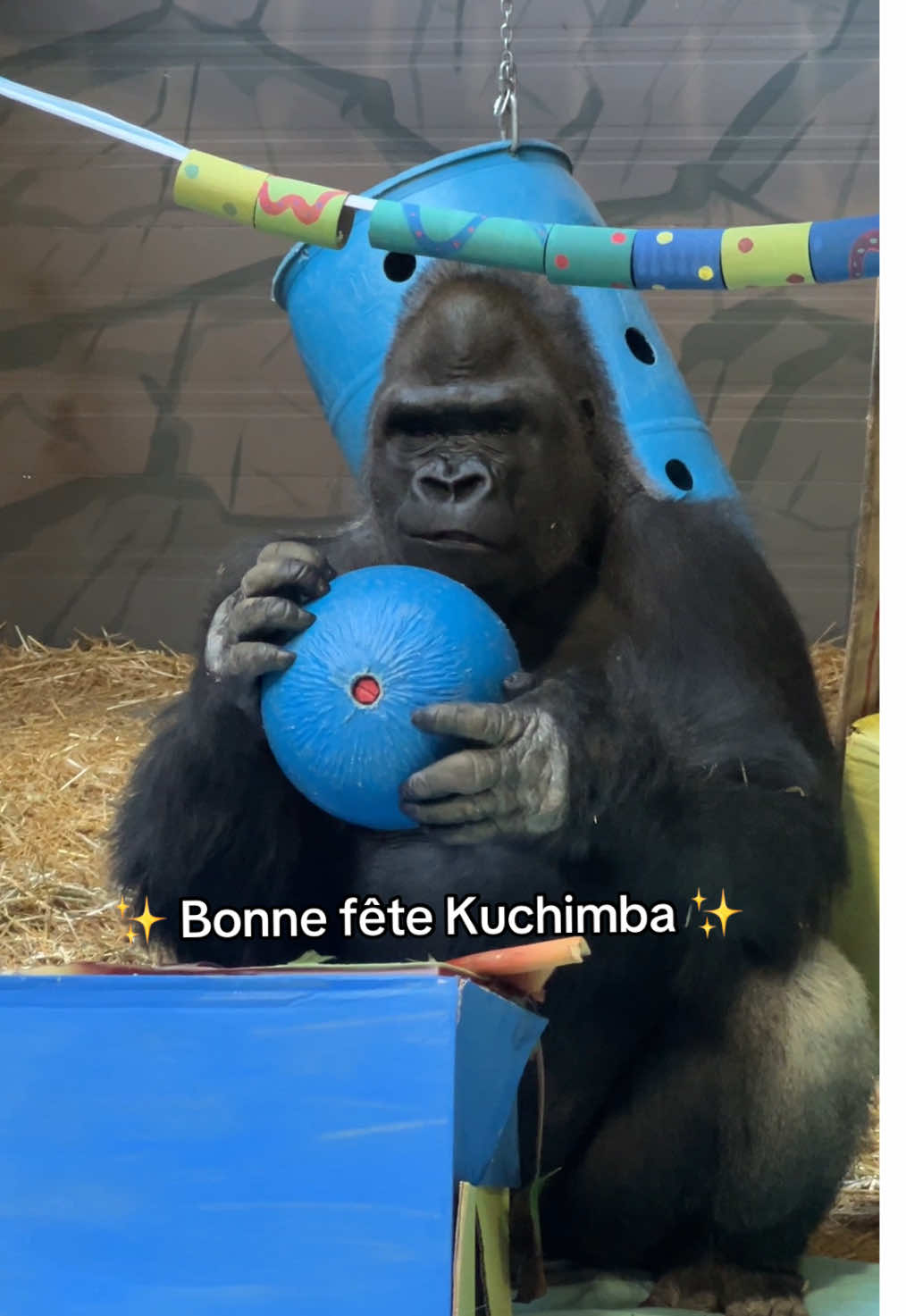 @Zoo de Granby