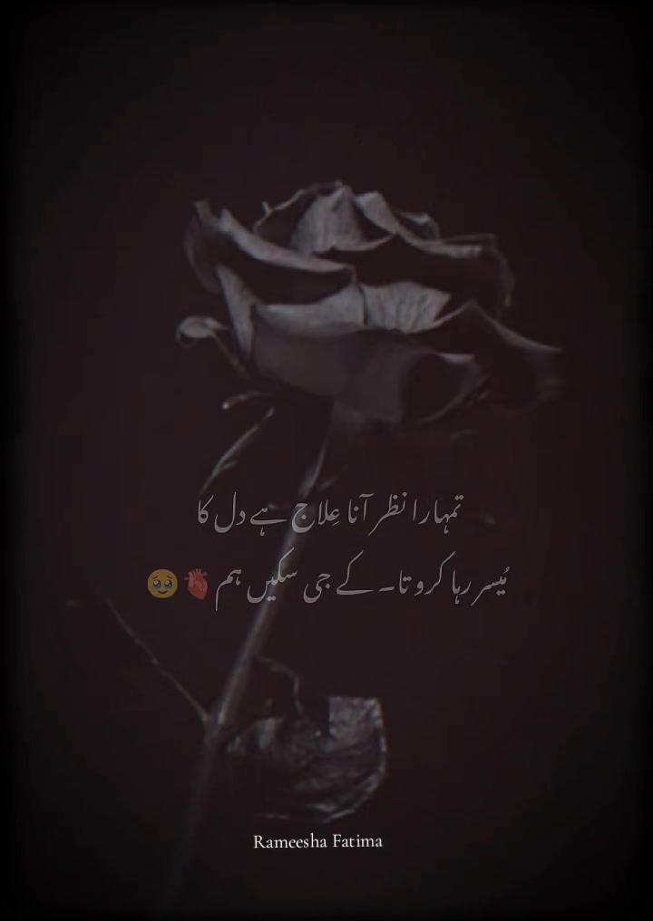 @Rameesha Fatima