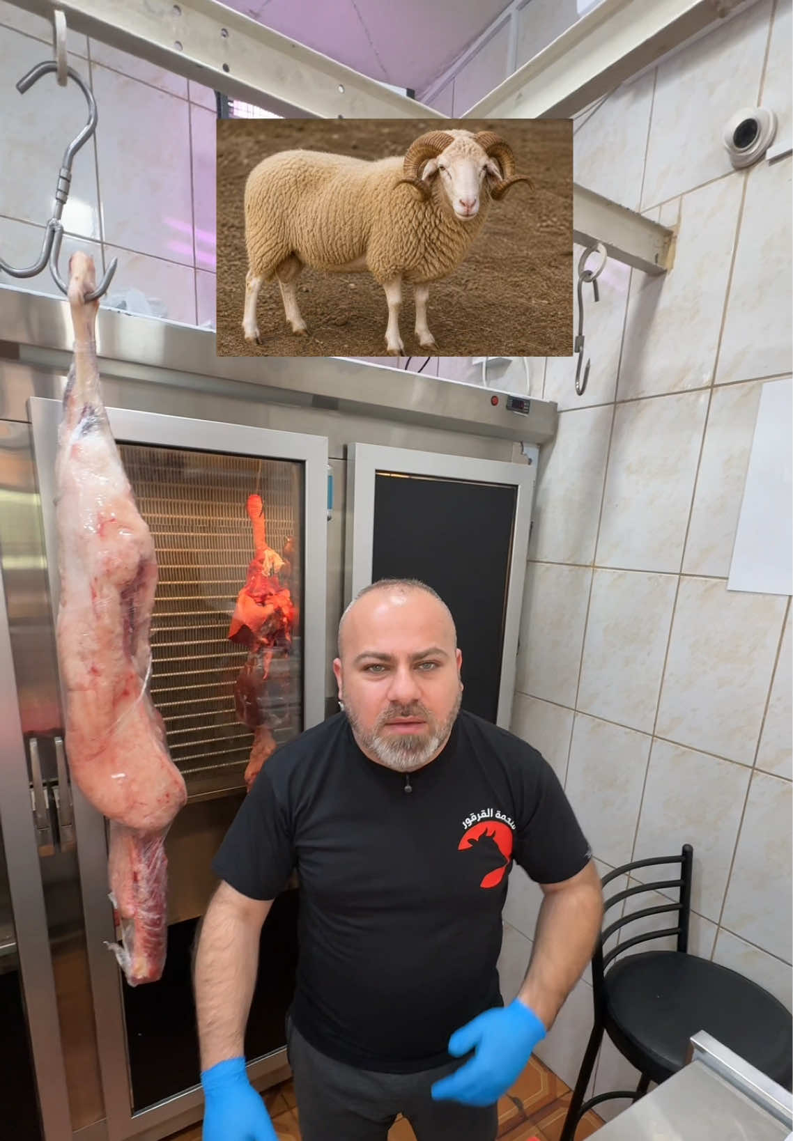 @karkourbutchery