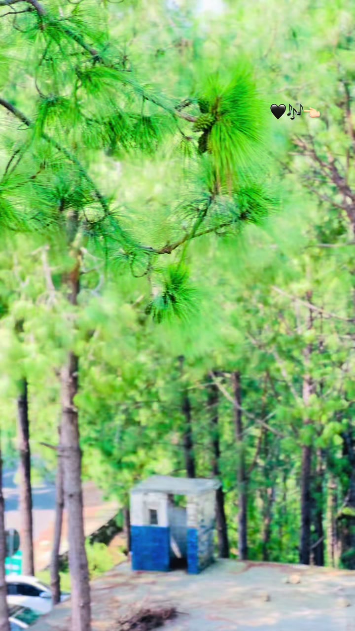 @ཧᜰ꙰ꦿ➢ṨᾋἬἿĿ ЈȒ337 ༒