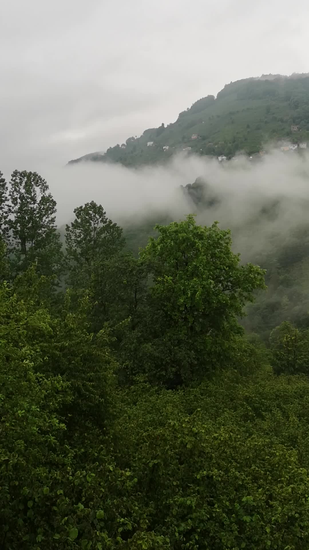 @Zoğa
