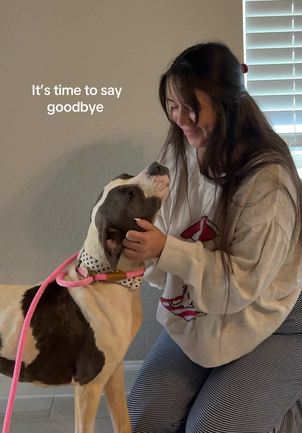 @Bristexastails