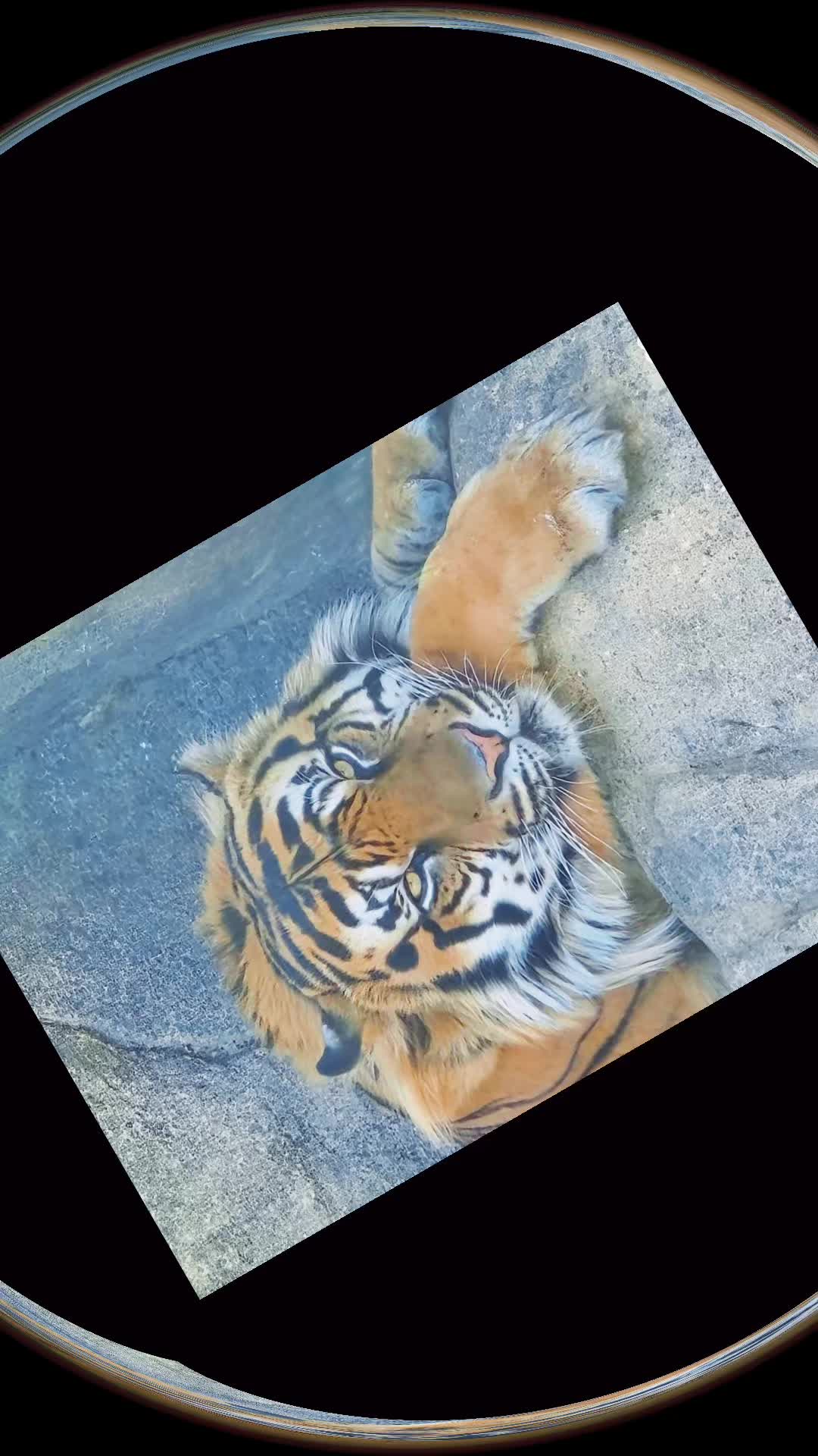 @Junushresttha19