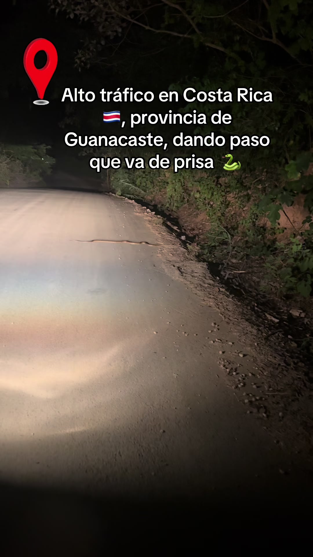 @Oxigenia Buseta Costa Rica
