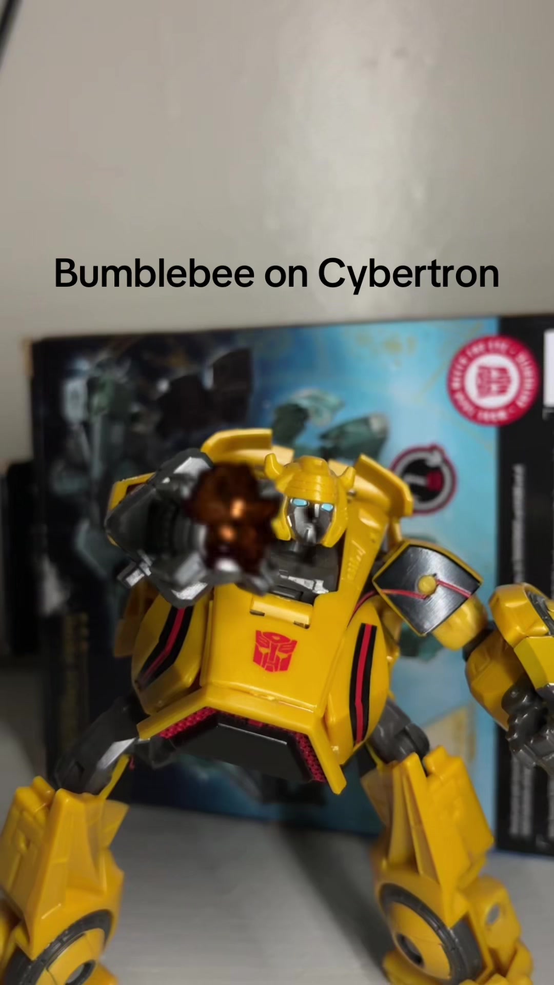 @BumblebeePrime