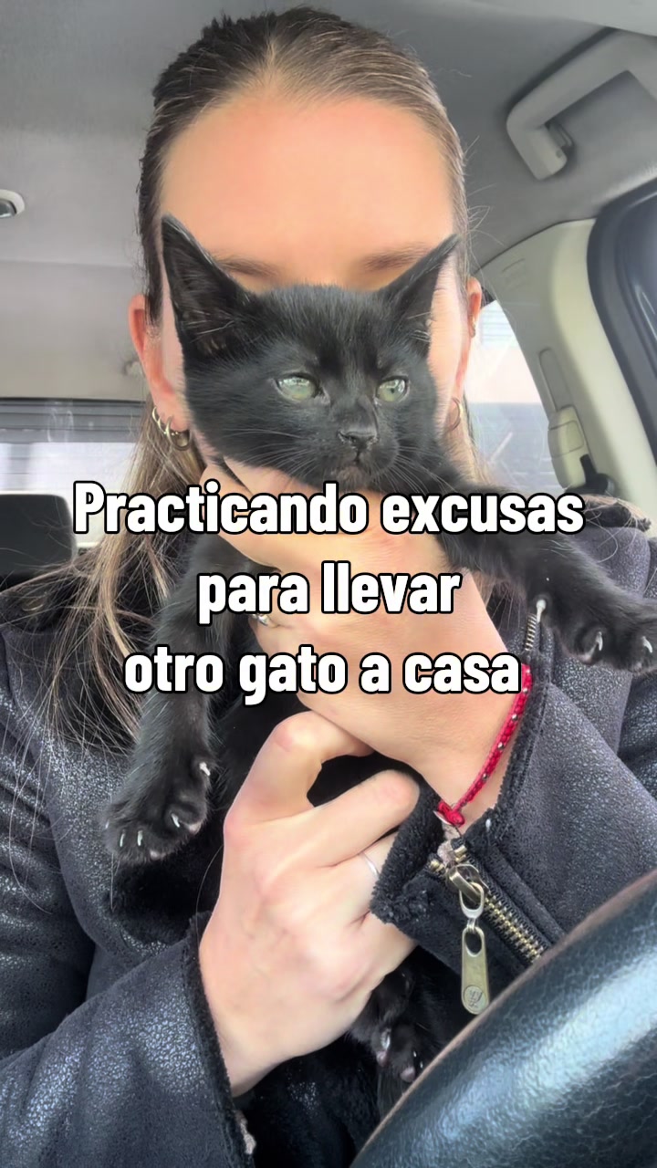 @Victoria Garcia Genga