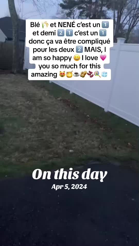 @Neite@Decimus.Papillonvert