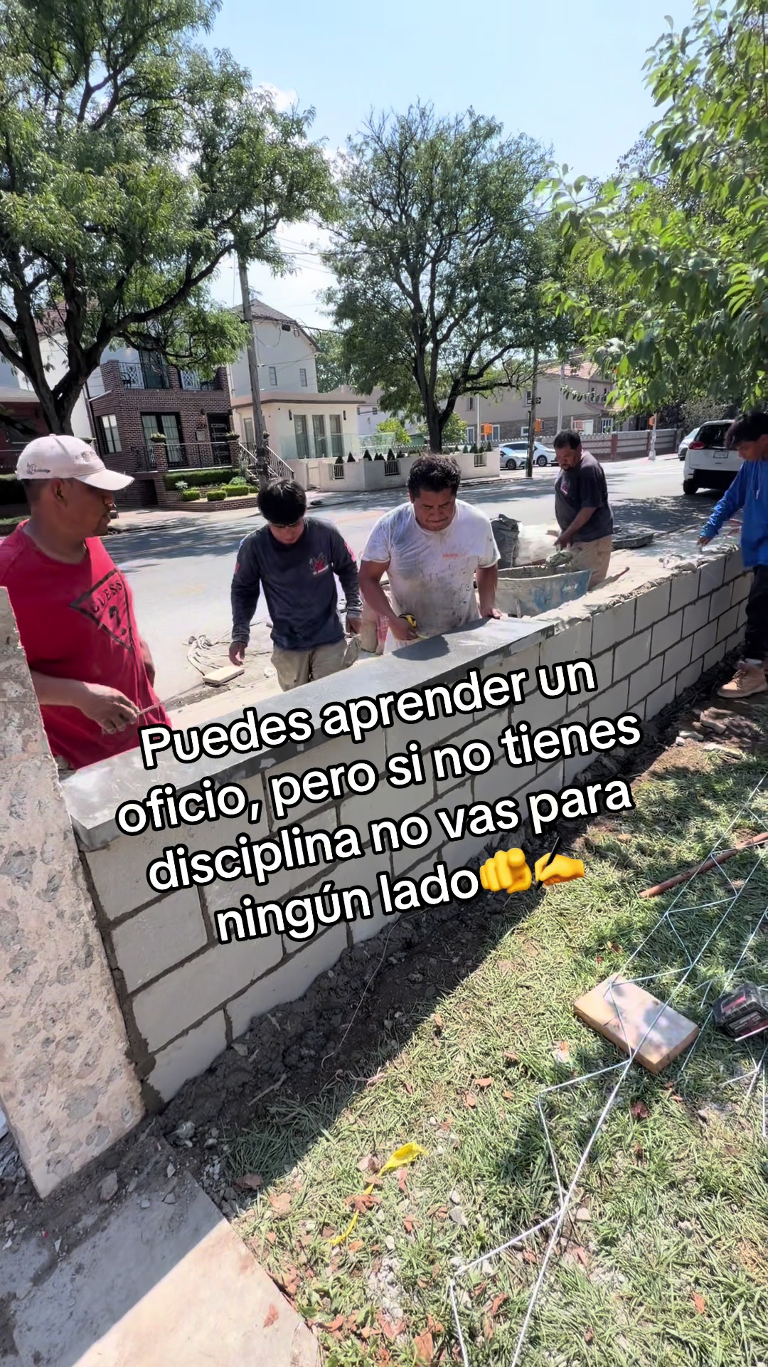 @elbambis1oficial