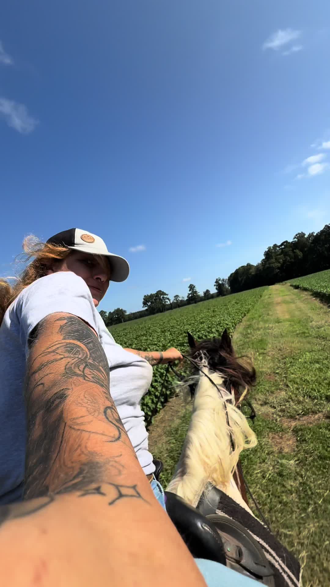 @rifarmlyfe