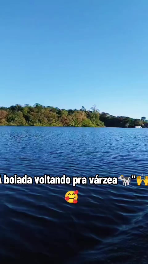 @Cativo oficial03